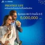 เหนือระดับด้วยแผนประกันชีวิตที่ “ให้มากกว่าความคุ้มครอง” PRESTIGE LIFE จากกรุงเทพประกันชีวิต